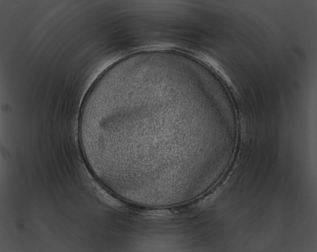 X0000090501186200708031202