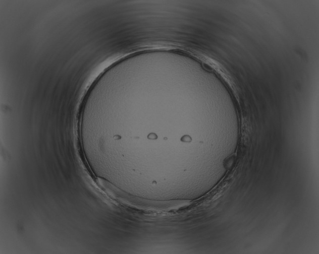 X0000090501187200708031202