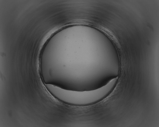 X0000090501188200708031202