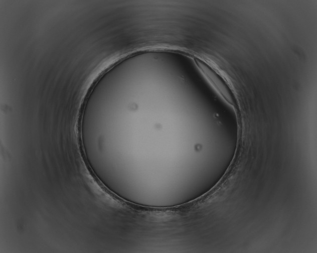 X0000090501189200708031202