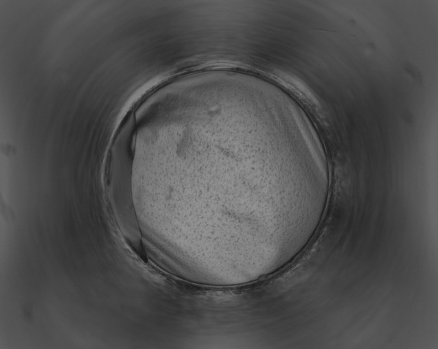 X0000090501190200708031202