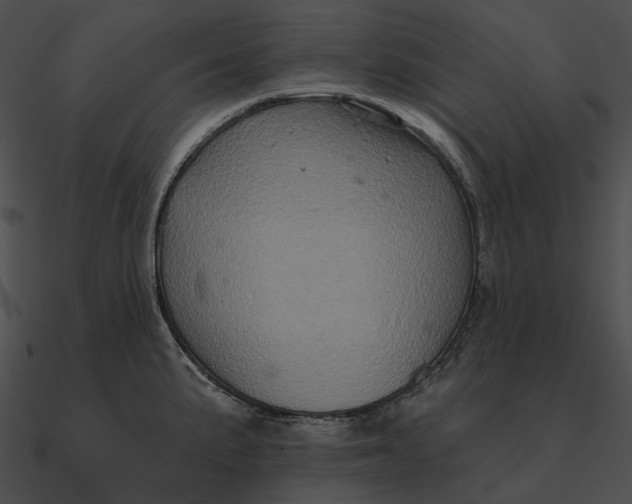 X0000090501191200708031202