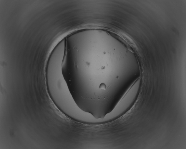 X0000090501192200708031202