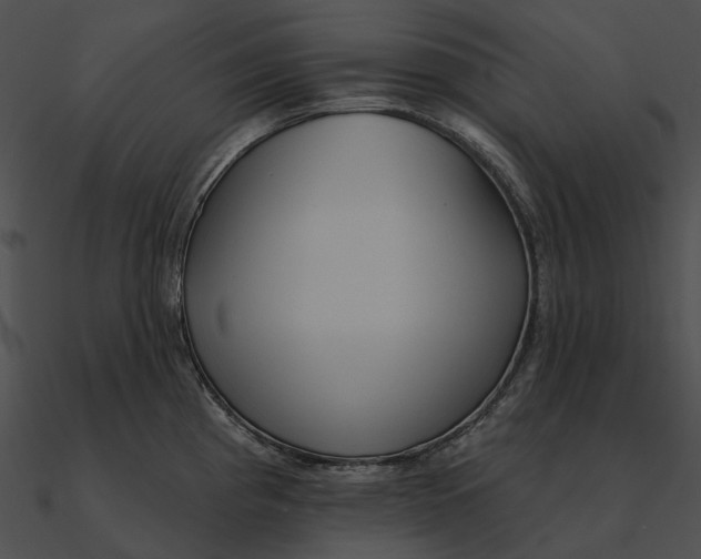 X0000090501193200708031202