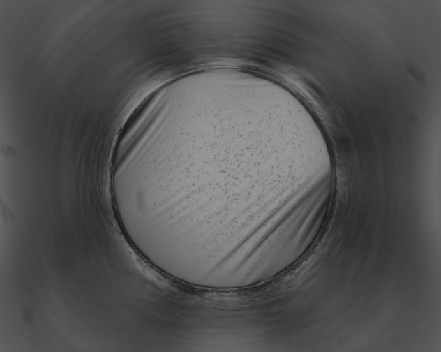 X0000090501194200708031202