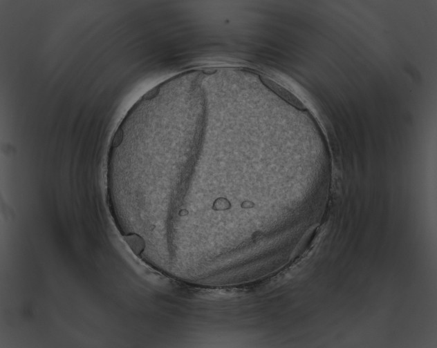 X0000090501195200708031202