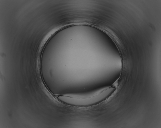 X0000090501196200708031202