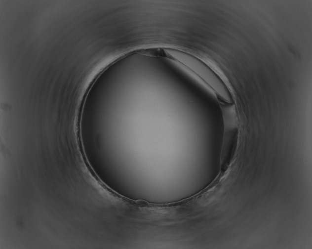 X0000090501197200708031202