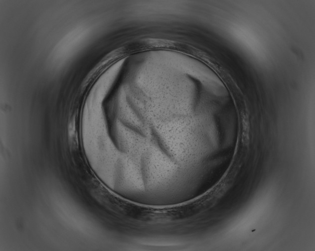 X0000090501198200708031202