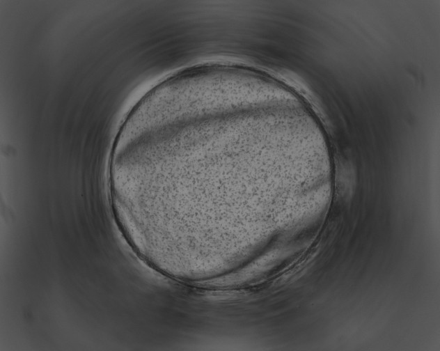 X0000090501199200708031202