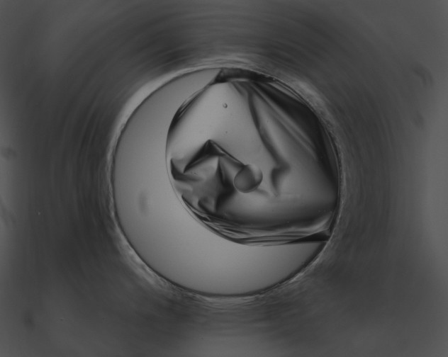 X0000090501200200708031202