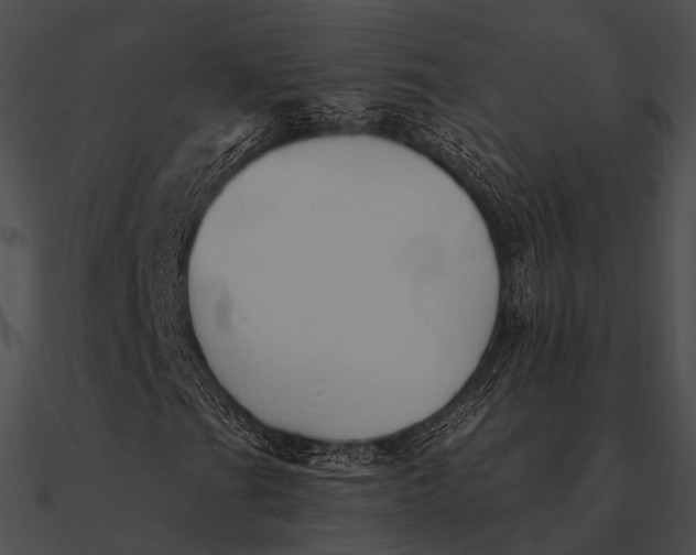 X0000090501201200708031201