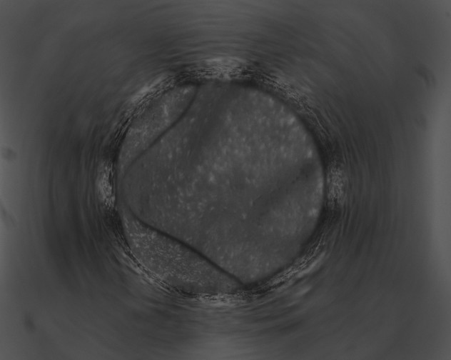 X0000090501202200708031201