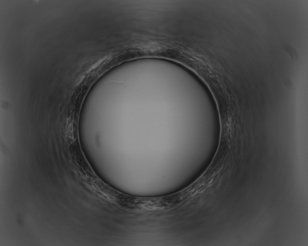 X0000090501205200708031201