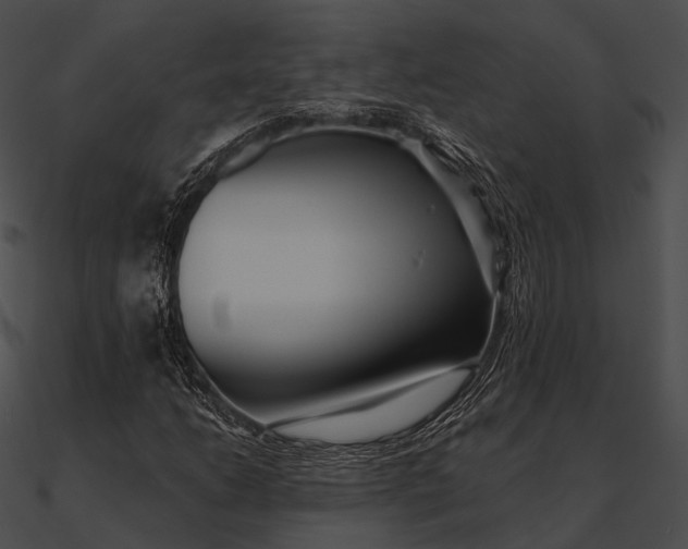 X0000090501206200708031201