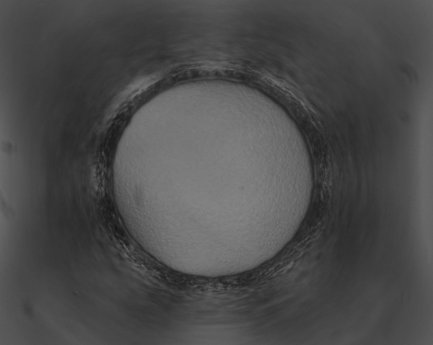 X0000090501207200708031201