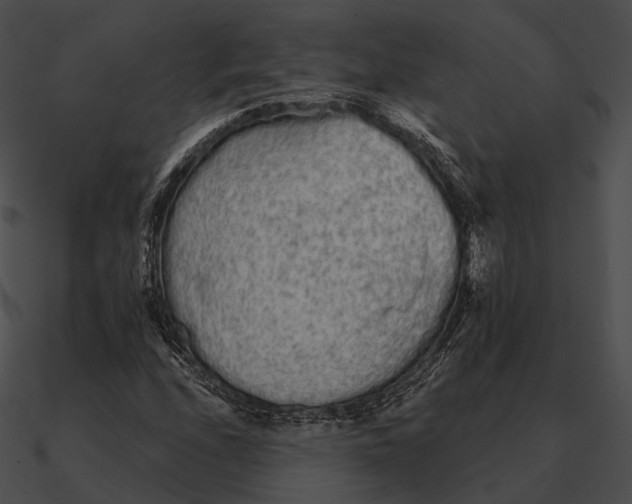 X0000090501208200708031201