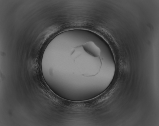 X0000090501210200708031201