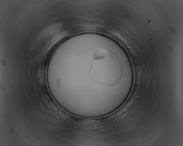 X0000090501211200708031201