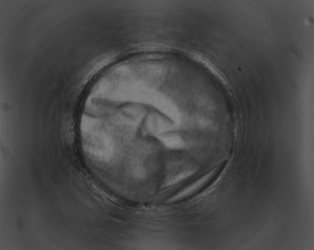 X0000090501213200708031201