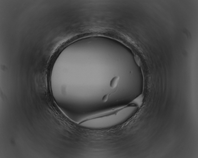 X0000090501214200708031201