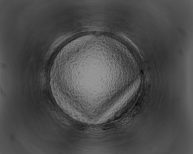 X0000090501215200708031201