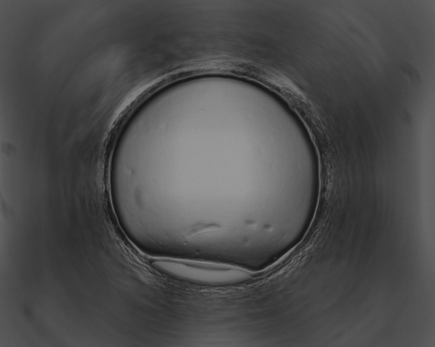 X0000090501216200708031201