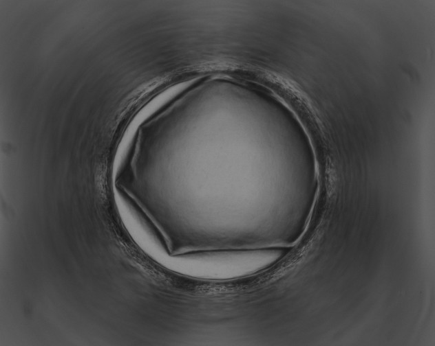 X0000090501217200708031201