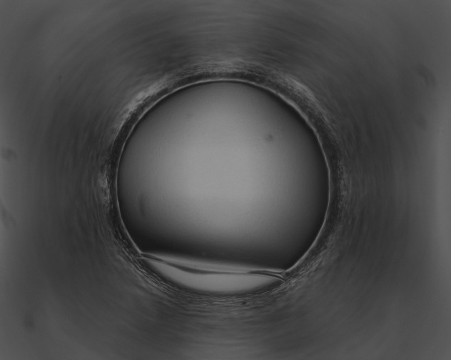 X0000090501218200708031202