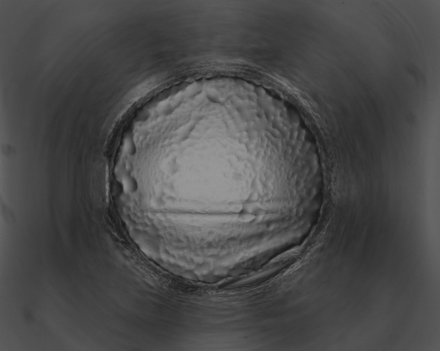 X0000090501219200708031202