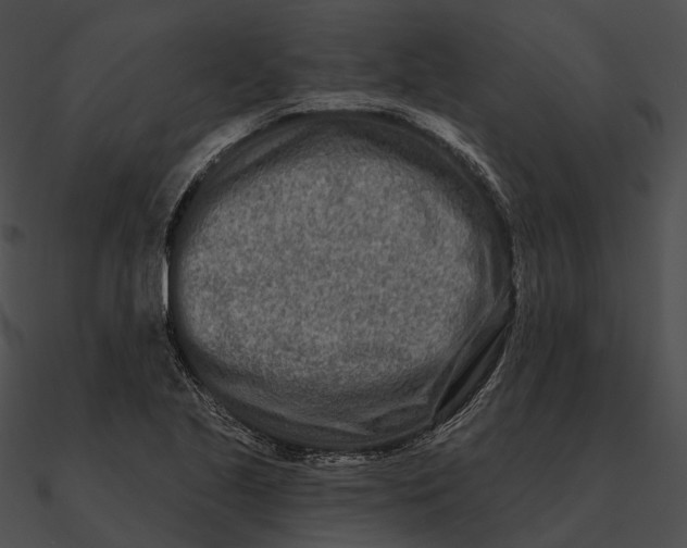 X0000090501221200708031202