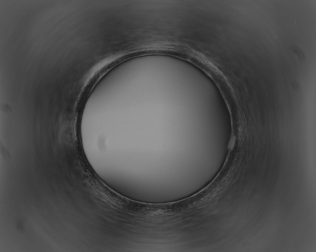 X0000090501222200708031202