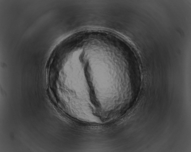 X0000090501223200708031202