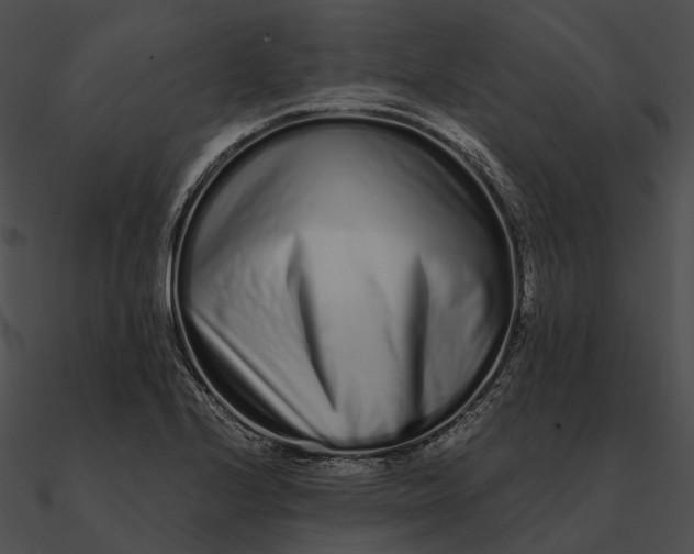 X0000090501224200708031202