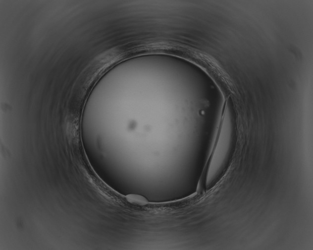 X0000090501225200708031202