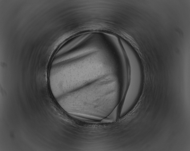 X0000090501226200708031202