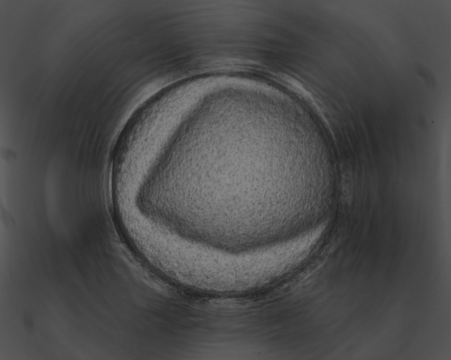 X0000090501227200708031202