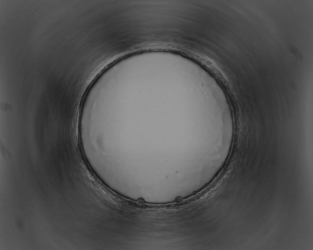 X0000090501228200708031202