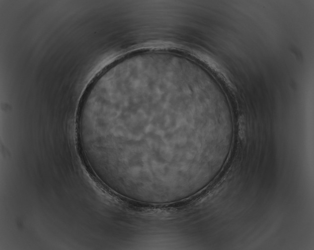 X0000090501229200708031202