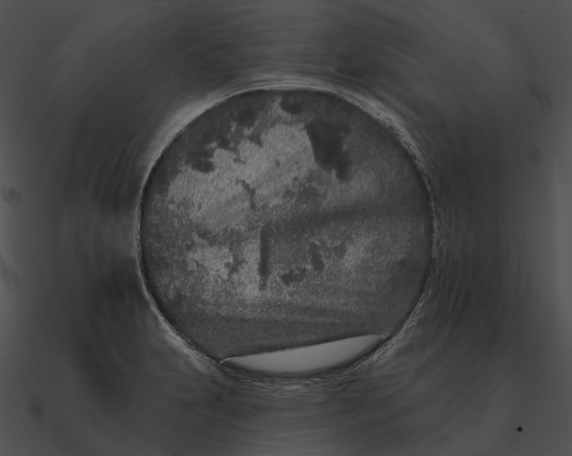 X0000090501231200708031202