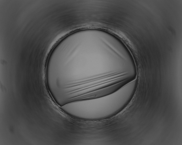 X0000090501232200708031202