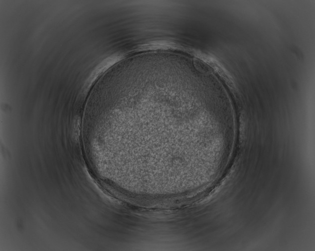 X0000090501233200708031202