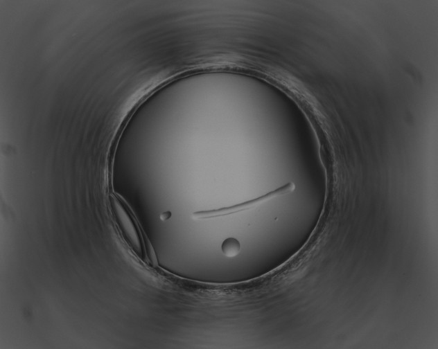 X0000090501234200708031202