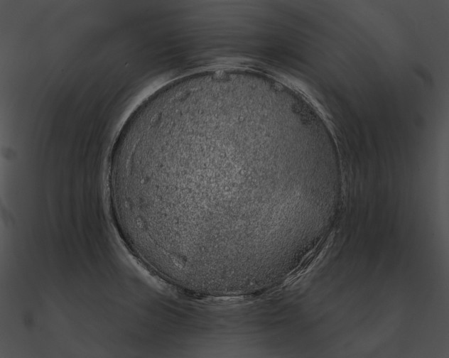 X0000090501235200708031202