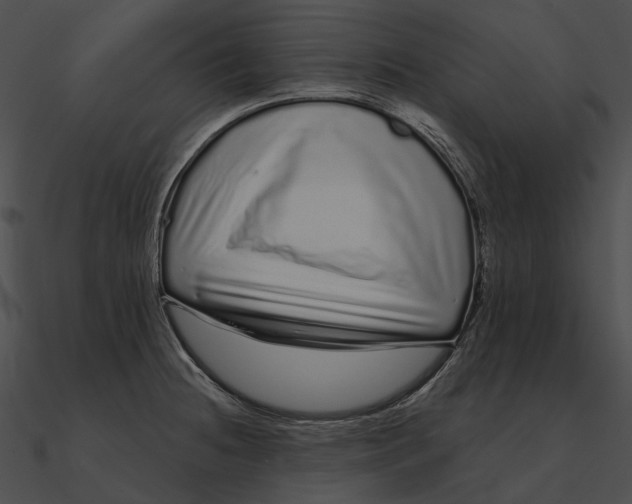 X0000090501236200708031202