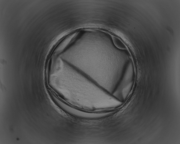 X0000090501237200708031202