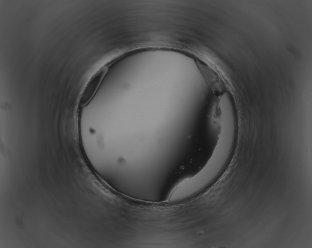 X0000090501238200708031202