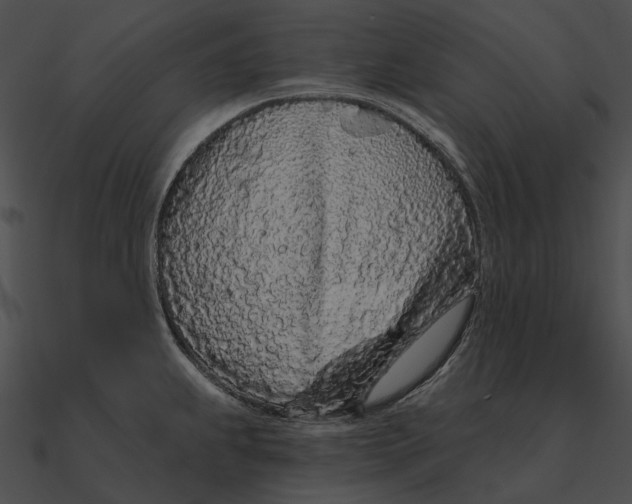 X0000090501239200708031202