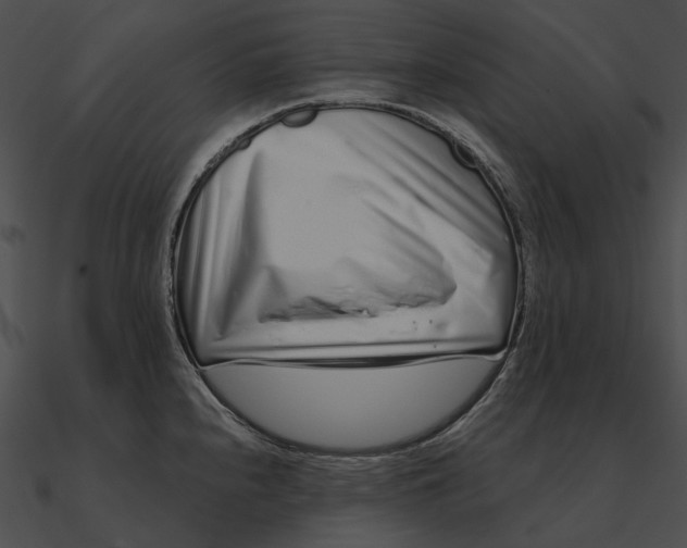 X0000090501240200708031202