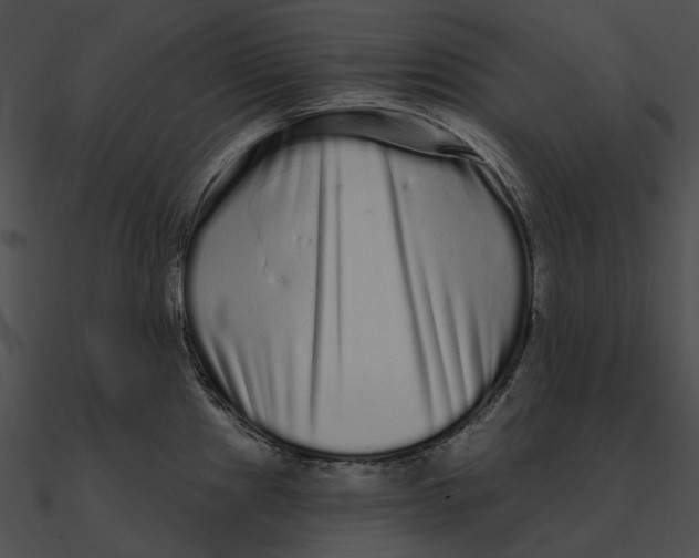 X0000090501241200708031202